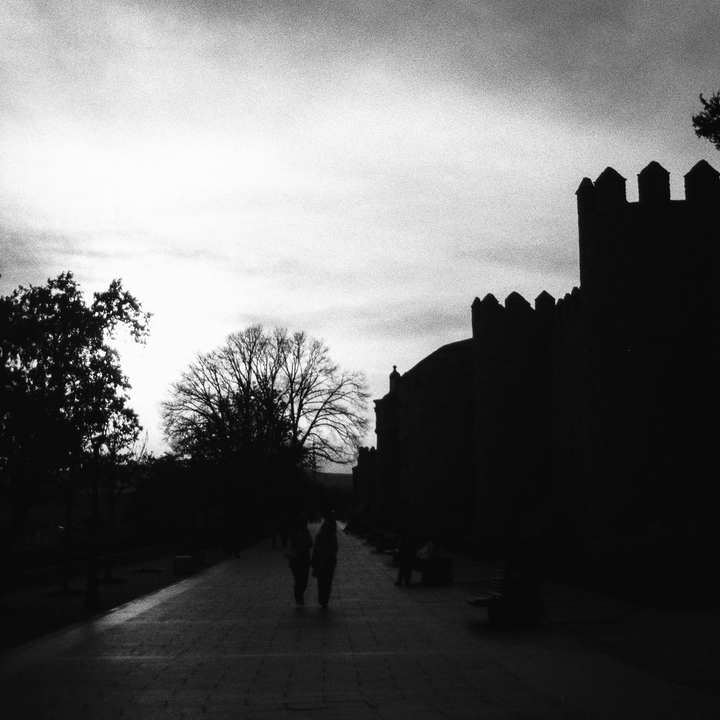  South side of the rampart wall of Avila, Spain.  