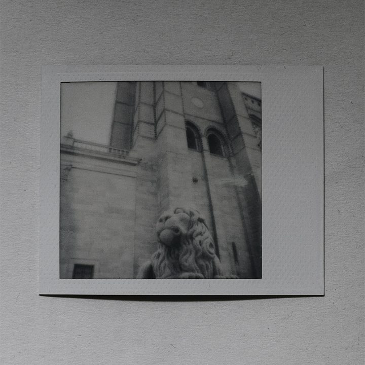 Instant Camera Photo of Lion Sculpture at Ávila Cathedral, Spain. 