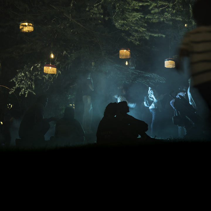   Ávila Enlight transforms San Vicente Garden into a magical night show with lights, projections, music, and heritage on August 1–2, celebrating Ávila's history and beauty.