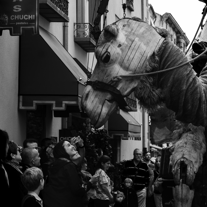 Chamô Giant Camel Puppet by Paris-Bénarès, at the Medieval Market at Avila, Spain