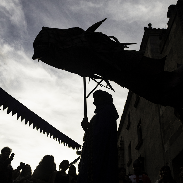 Mood at the medieval market and fair of Avila (2022)